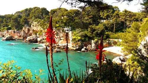 Excursión a Antibes | Museo Picasso en el Castillo Grimaldi | Promenade Amiral de Grasse.