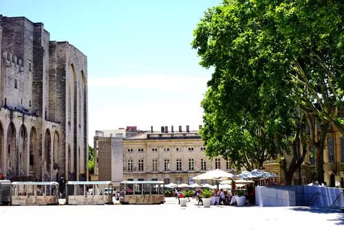 Mercado de Les Halles | Museo Angladon | Jardín de Doms | Crucero por el Ródano.