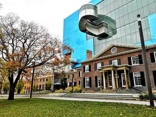 Kensington Market | Chinatown | Art Gallery of Ontario.