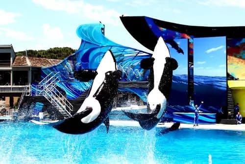 SeaWorld San Diego | Legoland California | La Jolla Shores.