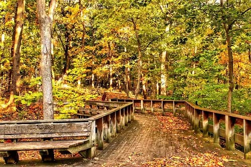 Schenley Park | Frick Park | Randyland