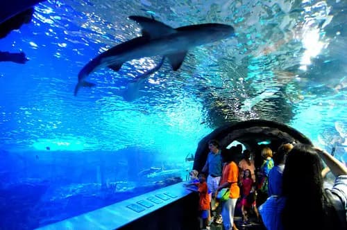 Cincinnati Observatory | Eden Park | Newport Aquarium