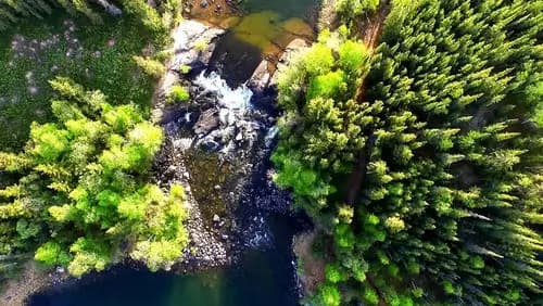 Hidden Lake Territorial Park | Fred Henne Territorial Park |  The Woodyard Brewhouse & Eatery