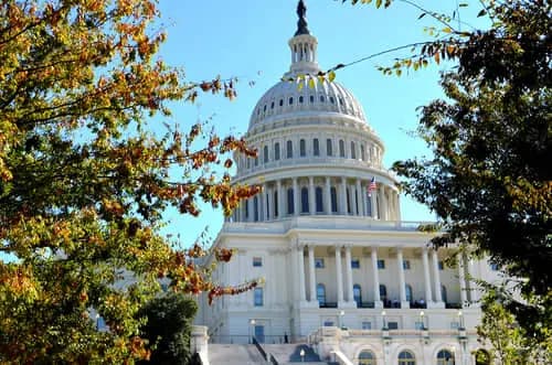 De Buffalo a Washington D.C.: Historia y Nuevas Aventuras