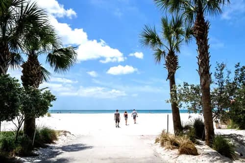 Clearwater Beach | Pier 60 | Clearwater Marine Aquarium