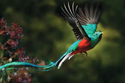 Traslado de Arenal a Monteverde PK