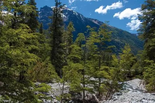 Buenos Aires - Bariloche