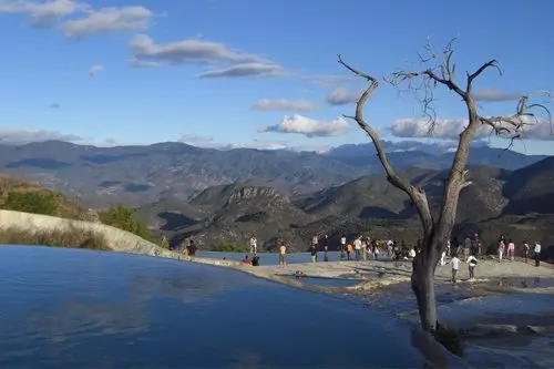 Tour por el Árbol del Tule, Teotitlán, y Hierve el Agua