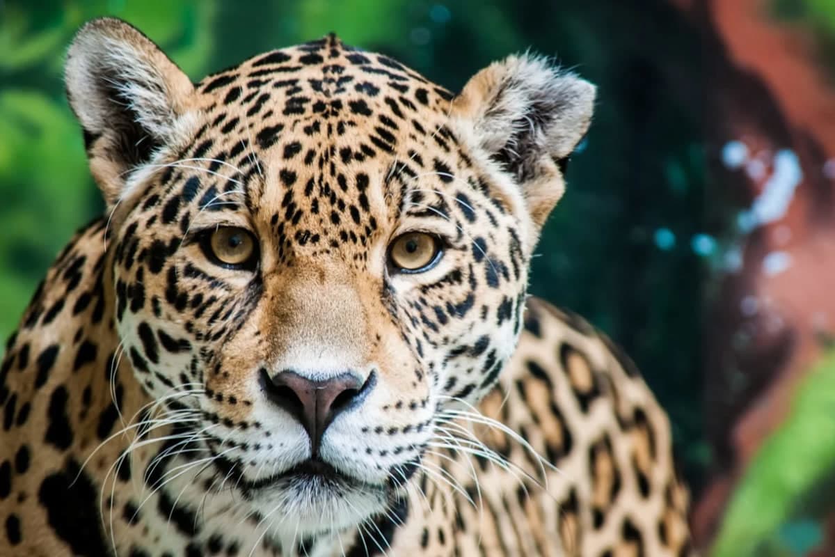 Tour Sensacional por Chiapas de 5 días con Montebello (Martes y Sábado)