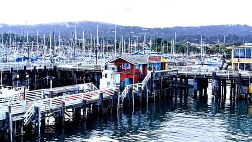 Despedida con Nostalgia: El Final de una Aventura en Monterey