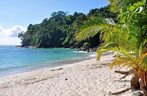 Sukia Park and ZIP LINE Tours | Playa Biesanz | Cena en: Namaste Indian Restaurant