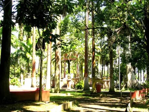 Disfruta el Encanto Natural y Cultural de Limón