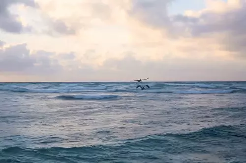 Llegada a Cancún y traslado a Playa del Carmen