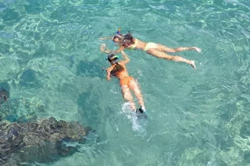 Explorando Cozumel: Una Excursión de un Día desde Playa del Carmen